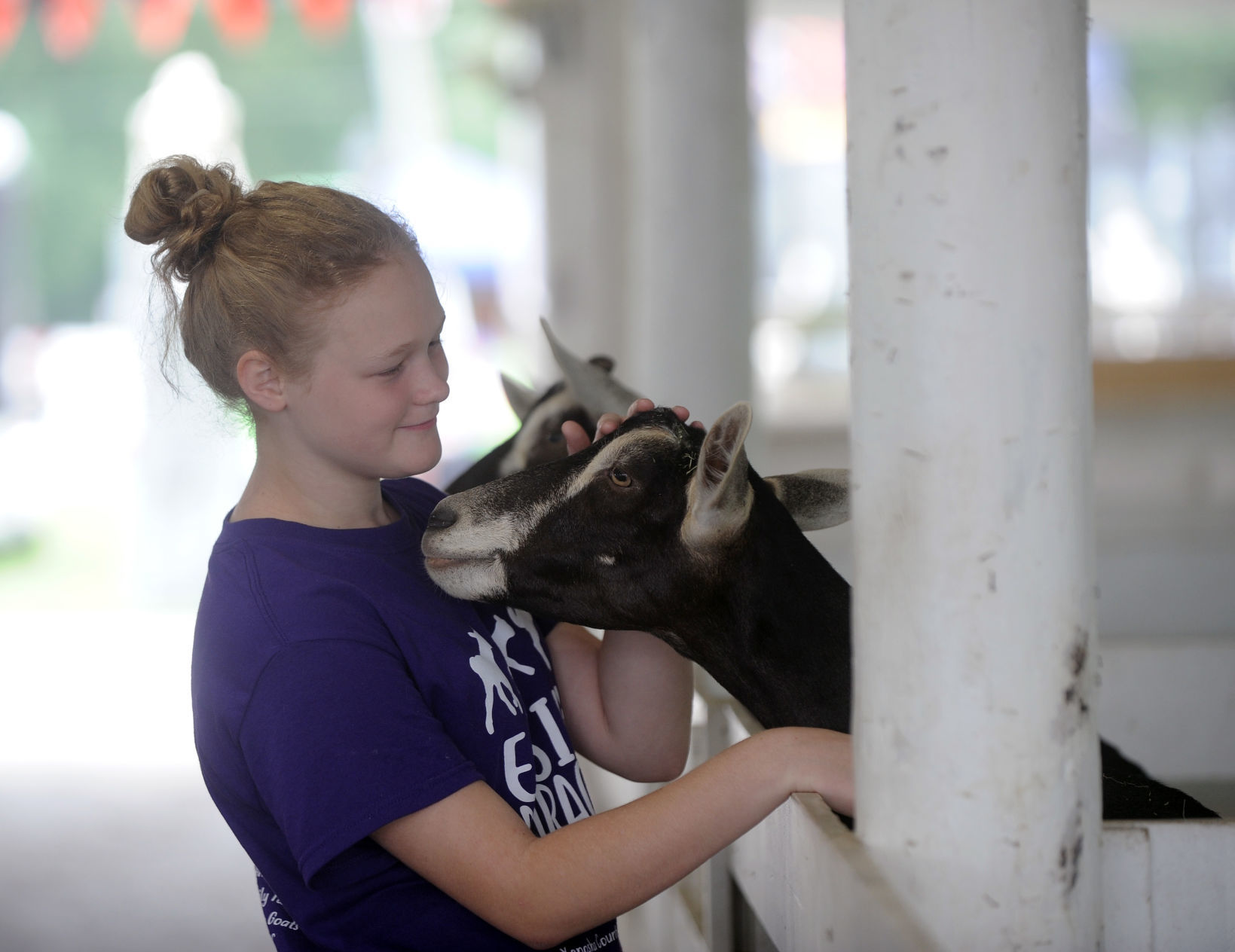 COUNTY FAIR WEDNESDAY